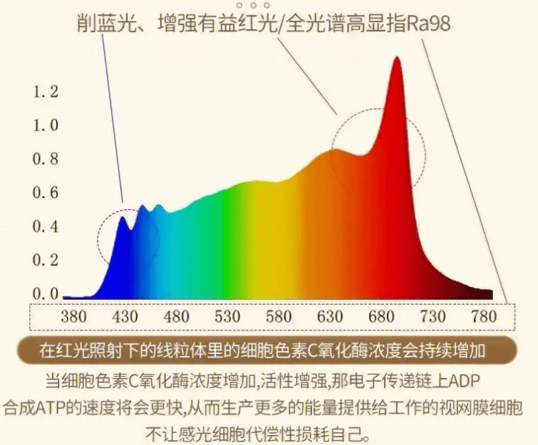 大财神彩乐园-景观照明工程和亮化工程的区别是什么？