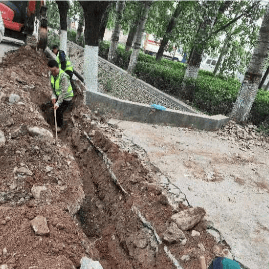 北京百康芯生物科技取得导光棒传光无透镜照明成像装置及微流控芯片检测系统专利，采用导光棒传光无透镜照明，成本低，荧光收集效率高